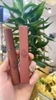 Son Kem Lì 3CE Stylenanda Velvet Lip Tint - Bảng 2021