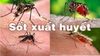 Thuốc xịt chống muỗi đốt Hanmi.