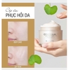 Kem dưỡng ẩm, làm dịu da Dr.Pepti Centella Moist Soothing Gel Cream 70ml