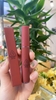 Son Kem Lì 3CE Stylenanda Velvet Lip Tint - Bảng 2021