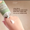 Kem Dưỡng Da Tay Mềm Mịn, Khoẻ Móng Hạnh Nhân L'Occitane Amande Soin Mains & Ongles Hand & Nail Care