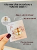 Gói Kem Tái Sinh Làm Sáng Da, Chống Lão Hóa, Dưỡng Ẩm The History Of Whoo Cheonyuldan Ultimate Regeneative Cream