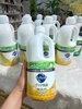 Nước rửa chén diệt khuẩn KAO Kyukyutto Clear 1380mL nội địa Nhật (có VAT)