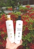 Kem tắm trắng Meiday Shower in shower white body tone up cream