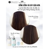 Bộ dầu gội phục hồi đa tầng giúp tóc bồng bềnh, bóng mượt Nấm Truffle Weilaiya 450ml + 450ml (có VAT)
