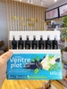 Detox hỗ trợ đào thải mỡ thừa, thải độc ruột Milical Extra Ventre Plat 7 ống của Pháp