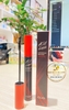 Chuốt mi Kill Lash Superproof Mascara Clio