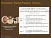 Phấn Nước Dưỡng Trắng, Chống Nhăn, tái sinh da Whoo Cheongidan Radiant Essence Cushion SPF50+/PA+++