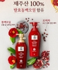 Dầu gội + Xả cao cấp đông y nhân sâm chống rụng tóc & phục hồi tóc hư tổn Ryo Damage Care 1100ml  (đỏ)