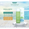 Nước hoa hồng rau má cho da mụn nhạy cảm The Pure Jeju Pretty Skin 250ml