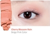 Bảng Phấn Mắt 10 Màu Etude House Play Color Eyes Cherry Blossom