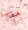 Bảng Phấn Mắt 10 Màu Etude House Play Color Eyes Cherry Blossom