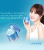 Mặt nạ ngủ dưỡng da rạng rỡ Laneige Special Care