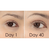 Tinh Chất Dưỡng Khoẻ, Dài, Dày Mi Etude House My Lash Serum