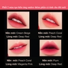 Son cao cấp lì mịn không khô môi Sum37 LosecSumma Velvet Lipstick