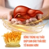 Nước Uống Bổ Gan Đông Trùng Giải Rượu SMS Bio Pharm 30 gói x 70ml 