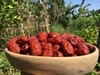 Táo đỏ khô nội địa Hàn Quốc 1000g