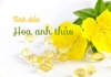 Viên Uống Điều Hòa Nội Tiết Tố Hoa Anh Thảo Hanmi Gamma Linolenic Acid Hộp 180 Viên