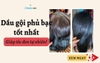 Dầu gội phủ bạc thảo dược Talmo Lab Probiotic Color Pigment Shampoo 250g