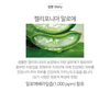 Kem chống nắng giải nhiệt, điều chỉnh tone da Nature Republic California Aloe Ice Puff Sun SPF50+ PA++++