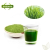 Bột diệp lục Premium Organic Barley Sprouts Powder Hàn Quốc 100g