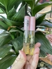 Tinh Chất Dưỡng Khoẻ, Dài, Dày Mi Etude House My Lash Serum
