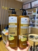 Set Dầu Gội, Xả Gừng hữu cơ giúp mọc tóc Boots Nature's Series Ginger Shampoo and Conditioner Thái Lan 480ml*2