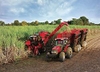 MÁY THU HOẠCH MÍA CASE IH A4000