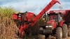 MÁY THU HOẠCH MÍA CASE IH A4000