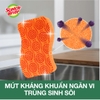 goi-2-mieng-rua-chen-hat-noi-sieu-sach-khong-tray-xuoc-scotch-brite-3m-cr-hnkt