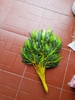 canh-tre