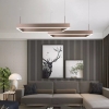 Đèn trang trí hiện đại EA2-1032-B