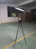 Đèn ngủ hiện đại, đèn cây, đèn sàn, đèn sàn khách sạn, đèn cây khách sạn, đèn phòng khách sạn, đèn ngủ khách sạn, đèn trang trí khách sạn