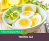 Dinh dưỡng từ trứng gà dành cho chó của bạn