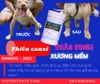 [GÓC ĐIỀU TRỊ] -  Điều trị bạn Bandog thiếu canxi gây cong chân