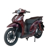 Xe máy điện Ally SV Eco