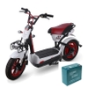Ắc quy xe máy điện 133S
