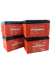Ắc quy xe đạp điện M133