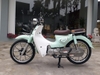 Xe cub 81 Ally 50cc new plus