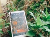 Chết Giữa Mùa Hè (Tb 2026)