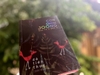 Con Chim Joong Bay Từ A Đến Z