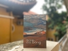 Thị Trấn Cá Bông - Đinh Phương