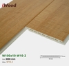 iWood W100x10-W10-2