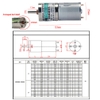 dong-co-giam-toc-dc-24v-5w-50rpm-xd25ga-370ysy-d10h20