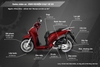 sua-xe-may-da-nang-uy-tin-lay-lien-phuc-vu-24-7-tai-thaivinhmotor