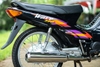 tan-trang-xe-wave-thai-110-sau-qua-trinh-su-dung-giu-tron-phong-do-huyen-thoai