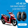 lop-xe-dat-bike-quantum-s1-s2-s3-gia-bao-nhieu-nen-thay-loai-nao-tot-nhat