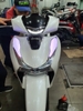 led-audi-sh-2020