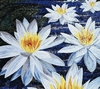 NHỮNG SẮC HOA TRẮNG TINH KHÔI-TRANH MOSAIC