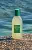 Dầu gội Aromatica rosemary scalp scaling shampoo 400ml